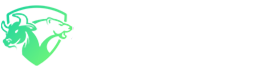 Stock Sage FX.
